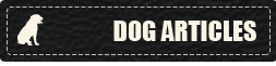 Dog Articles