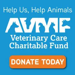 Help Us, Help Animals. AVMF Veterinary Care Charitable Fund. Donate Today