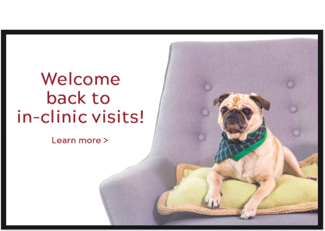 Welcome back to in-clinic visits!